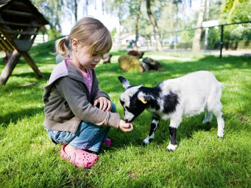 Landal De Veluwse Hoevegaerde Hotel Putten Kültér fotó